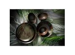 4 X Palmer Jungle Aurora Piatto Fondo In Gres (Ceramica) Marrone Decor Verde Ø 21 Cm