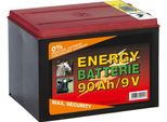 Batteria Di Recinzione Del Pascolo