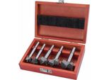 Punte Per Legno Extol Premium, Set Di 5 Con Dischi Sk, O 15-20-25-30-35Mm, Gambo 8-10Mm, 880
