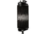 Radiatore Originale Motoforce Per Beta Rr