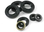 Kit Paraolio Motoforce Per Derbi Euro3