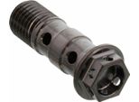 Bullone PRO-BOLT Banjo Doppio M10X1,25 Inox Va4 Racing Nero
