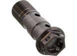 Bullone PRO-BOLT Banjo Doppio M10X1 Inox Va4 Racing Nero