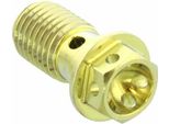 Bullone PRO-BOLT Banjo Singolo M10X1,25 Titanium Racing Oro