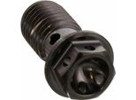 Bullone PRO-BOLT Banjo Singolo M10X1,25 Titanio Racing Nero