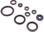 Kit Guarnizioni Paraoli Motore Athena P400060400016 Per Beta Rr