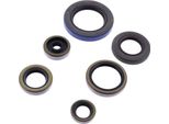 Kit Guarnizioni Paraoli Motore Athena P400270400101