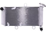 Radiatore Acqua Jmp TRS-R-729 Per Yamaha Xt 660