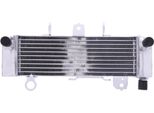 Radiatore Acqua Jmp 2020112302 Per Honda Cb 125 R