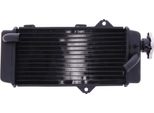 Radiatore Acqua Jmp KHL_X18 Per Yamaha Wr 125