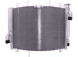 Radiatore Acqua Jmp TRS-R-597 Per Kawasaki