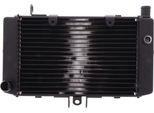 Radiatore Acqua Jmp 016-0038 Per Honda Cb