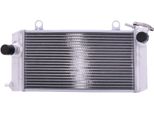 Radiatore Acqua Jmp TRS-R-694 Per Yamaha Xt 1200