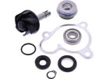Kit Revisione Pompa Acqua Jmp BC49R-0013