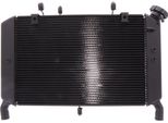 Radiatore Acqua Jmp 016-0035 Per Yamaha MT-09