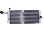 Radiatore Acqua Jmp TRS-R-715 Per Honda Vt 750