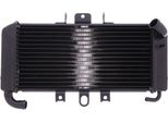 Radiatore Acqua Jmp 016-0031 Per Yamaha Fzs 600