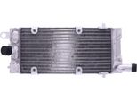 Radiatore Acqua Jmp TRS-R-793 Per Honda Nv 400 C Steed Vlx