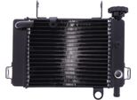 Radiatore Acqua Jmp 016-0036 Per Honda Cbr 125