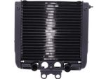 Radiatore Acqua Jmp 016-0055 Per Harley Davidson