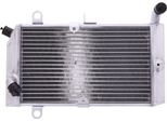 Radiatore Acqua Jmp 2020112312 Per Honda Fjs