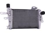 Radiatore Acqua Jmp TRS-R-642 Sinistro Per Bmw R