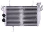 Radiatore Acqua Jmp TRS-R-636 Per Ducati