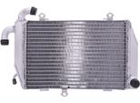 Radiatore Acqua Jmp TRS-R-718 Destro Per Honda Gl 1800