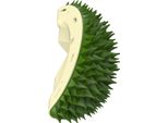 Tiragraffi Per Gatti Verde, Tiragraffi Angolare Con Erba Gatta Dal Design Durian, Tiragraffi Per Gatti Da Interno