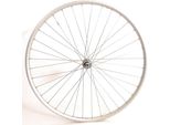 Rodi Ruota Anteriore 28 Pollici 622 X 19 Scorpion 36 Fori + Qr Argento