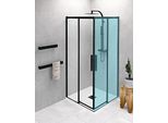 Polysan Altis Line - Porta Per Doccia, 1000X2000 Mm, Nero Opaco/Vetro Trasparente AL1512B