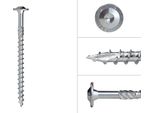 Viti A Testa Bombata Zincate 10 X 140 Mm Torx 40 - Confezione Da 50 Pezzi