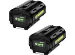 Batteria Al Litio Da 40V, Capacità 6000Mah, Compatibile Con Gli Utensili Ryobi, 2 Batterie