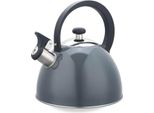 Czajnik 2,5L MR-1302-GREY Maestro