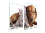 Piastre Copri Fornelli 2 Pezzi 35X52 Ceramica Copri Piano Cottura Vetro Tagliere Gatto Cane