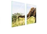 Piastre Copri Fornelli 2 Pezzi 75X52 Ceramica Copri Piano Cottura Tagliere In Vetro Elefante Animale