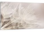 Piastra Di Copertura Del Piano Cottura 80X52Cm 1 Pezzo In Ceramica, Beige Dente Di Leone
