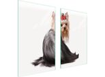 Piastre Copri Fornelli 2 Pezzi 75X52 Ceramica Copri Piano Cottura Vetro Tagliere Cane Yorkshire
