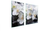 Piastre Copriforno 2 Pezzi 100X52 Copriforno In Ceramica Tagliere In Vetro Orchidea Bianco