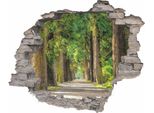 Tatuaggi 3D Su Muro Di Mattoni Con Vista