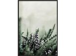 Poster Fotografico In Cornice 53X73 Cm Prato P1773