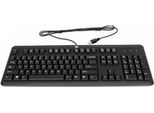 Hp - Tastatur - Usb - Schweiz (672647-111)