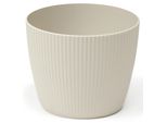 Lamela Spolka Z Organiczona Odpowiedź. Obal Magnolia Jumper Bavlna Ø 22 Cm 20 Cm