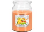 Candela Profumata Bispol In Vetro Ai Frutti Tropicali SND99-71
