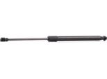 Ridex 219G0160 - Ammortizzatore Posteriore Oe 5124 7060 622 Per Serie 1 (E81), Serie 1 (E87)
