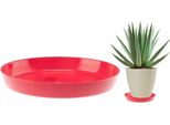 Presina Di Plastica Rossa 11 Cm Cristal
