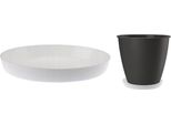 Presina In Plastica Bianca 14,5 Cm Cristal