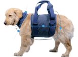 Inf Imbracatura Di Supporto Per Sollevamento Cani Anziani Xl