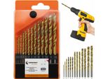 Set Di 13 Punte Per Metallo Hss Da 1,5-6,5 Mm In Acciaio Ad Alta Velocità