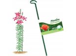 Supporto Per Piante 60 Cm In Acciaio, Verniciato A Polvere Verde, Stabile E Resistente Alle Intemperie